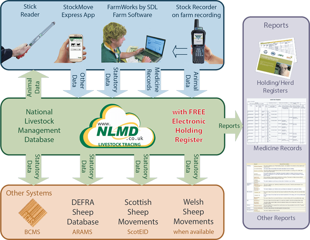 NLMD Diagram